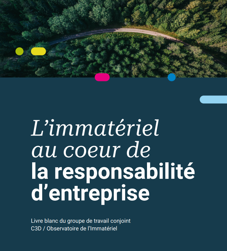 Accueil 1 Livrable GT immateriel C3D Observatoire immateriel Vdef